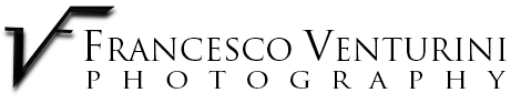 logo di Francesco Venturini